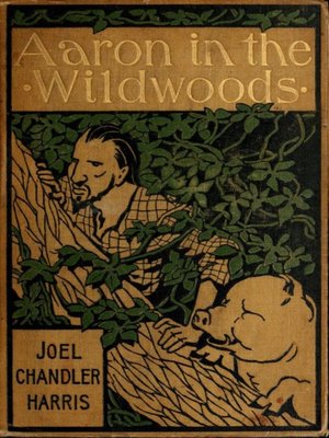 cover image of Aaron in the Wildwoods